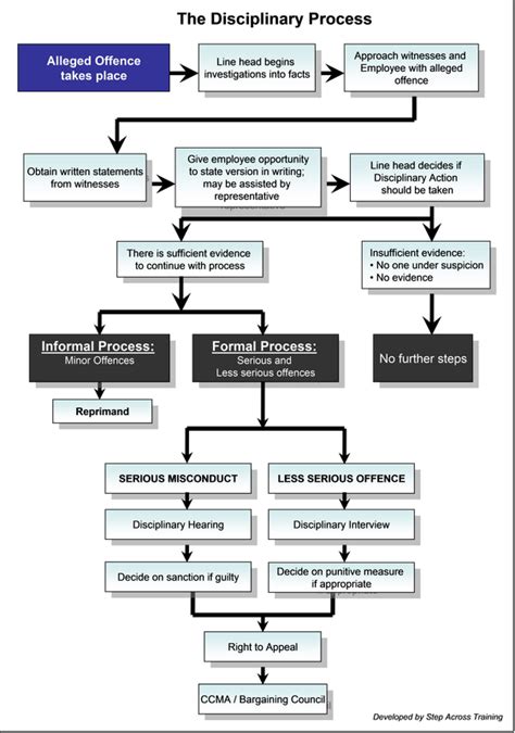 THE DISCIPLINARY PROCESS.